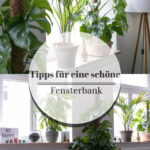 Fensterbank Deko: Ein Kleiner Dschungel In Unserer Wohnung Within Blumenecke Wohnzimmer Gestalten