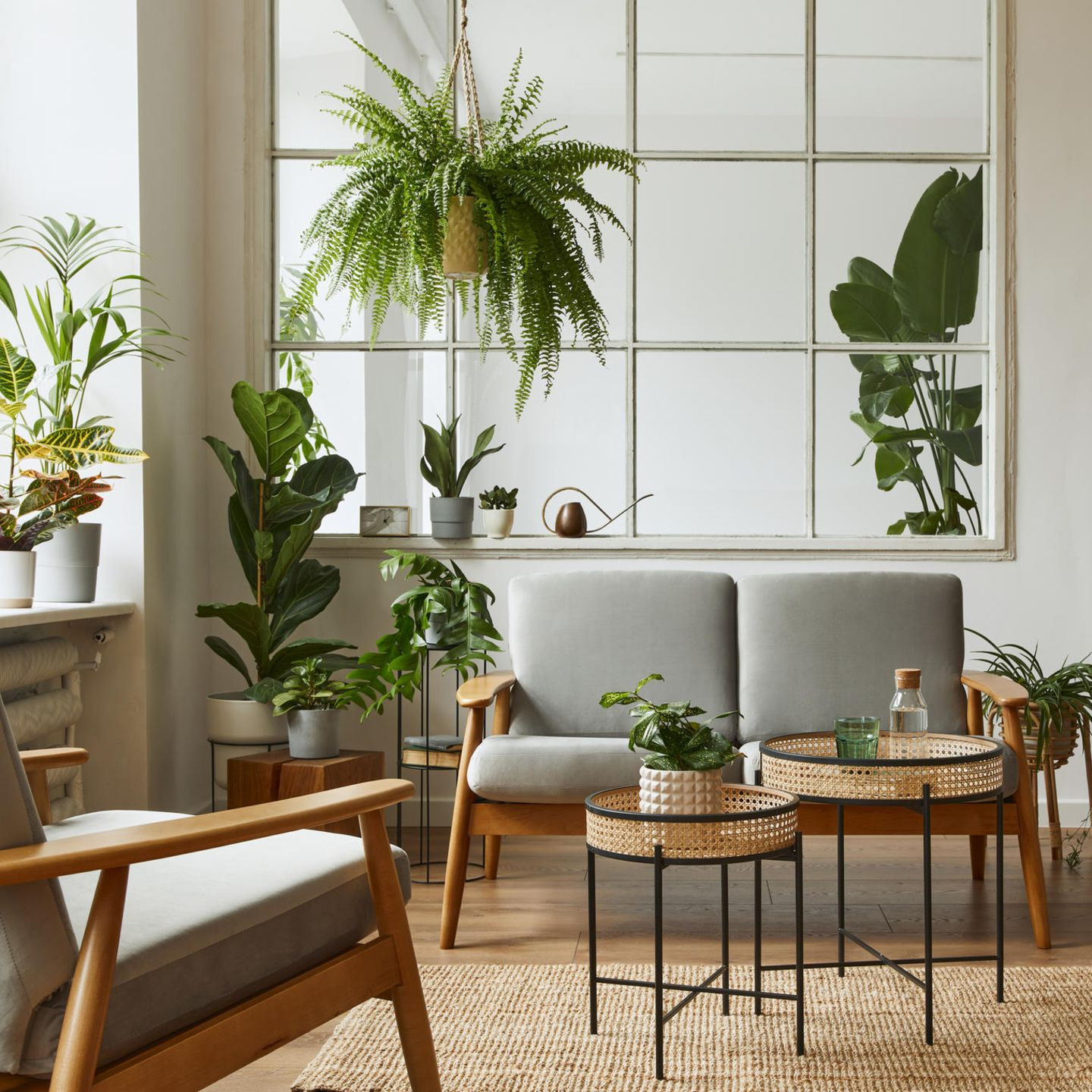 Urban Jungle: Mit Zimmerpflanzen Zur Trendwohnung | Gala.de with Blumen Ideen Wohnzimmer